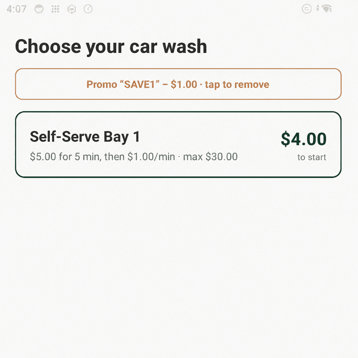 Rain Pay terminal with a promo code applied and the starting price reduced